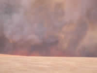 4:31pm Smoke fills the sky.